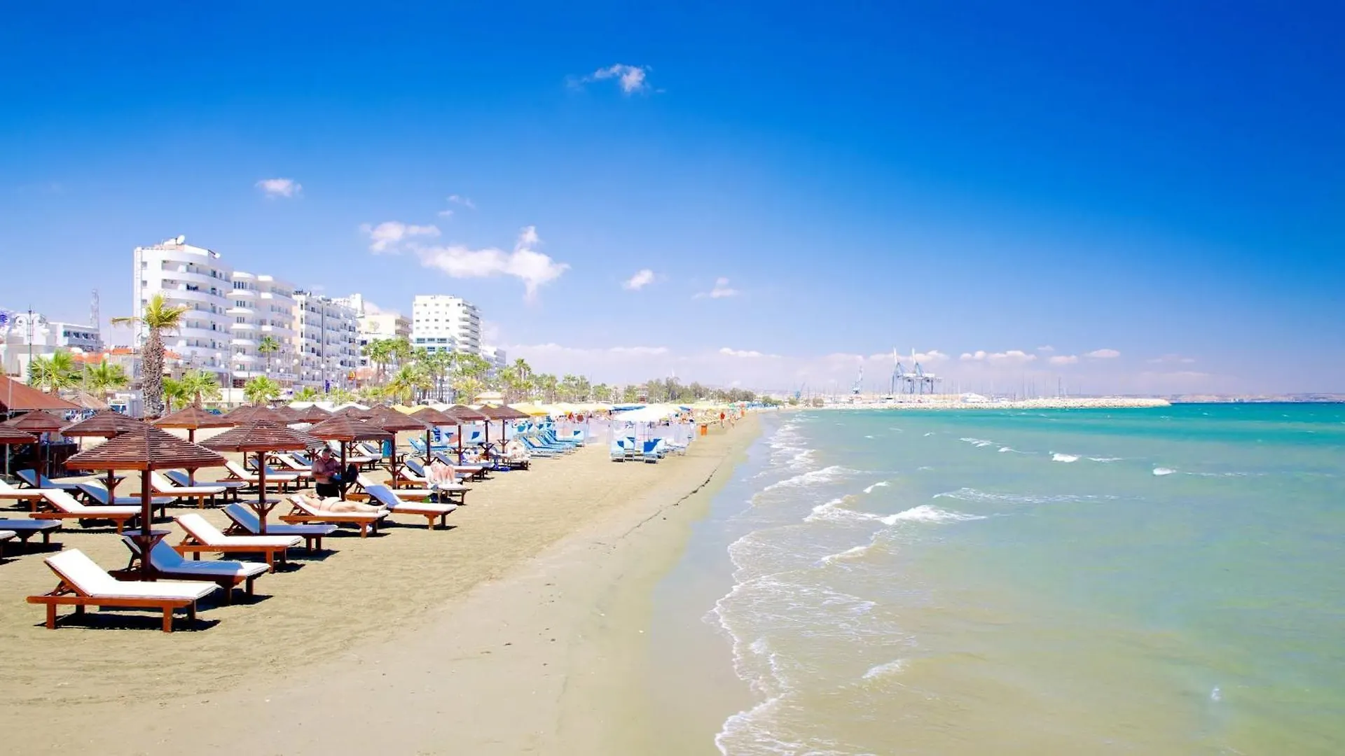Modern Larnaca Beach Apartment Cyprus