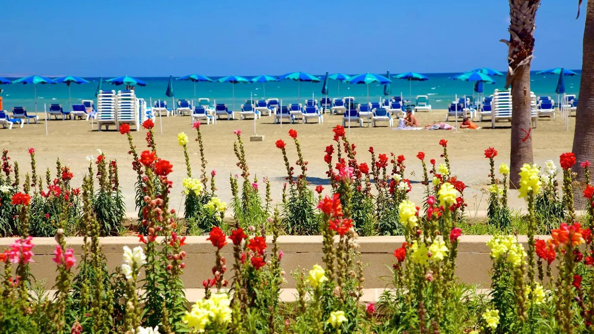 Modern Larnaca Beach Apartment